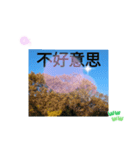 台湾語 大自然の落ち葉 挨拶集（個別スタンプ：10）