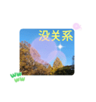 台湾語 大自然の落ち葉 挨拶集（個別スタンプ：11）