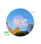 台湾語 大自然の落ち葉 挨拶集（個別スタンプ：14）