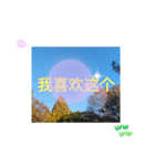 台湾語 大自然の落ち葉 挨拶集（個別スタンプ：17）