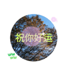 台湾語 大自然の落ち葉 挨拶集（個別スタンプ：23）