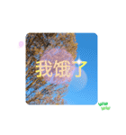 台湾語 大自然の落ち葉 挨拶集（個別スタンプ：24）