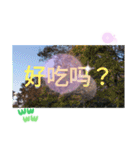 台湾語 大自然の落ち葉 挨拶集（個別スタンプ：26）