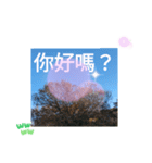 台湾語 大自然の落ち葉 挨拶集（個別スタンプ：30）