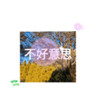 台湾語 大自然の落ち葉 挨拶集（個別スタンプ：31）