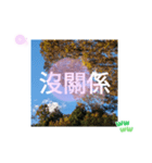 台湾語 大自然の落ち葉 挨拶集（個別スタンプ：34）