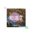 台湾語 大自然の落ち葉 挨拶集（個別スタンプ：36）