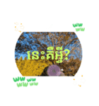 クメール語タケオで日常挨拶元気（個別スタンプ：15）
