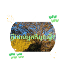 クメール語タケオで日常挨拶元気（個別スタンプ：18）