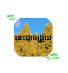 クメール語タケオで日常挨拶元気（個別スタンプ：40）