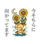 ねっ娘②【夏】（個別スタンプ：11）