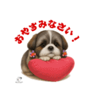 可愛いシーズー犬 ハッピーのLINEスタンプ（個別スタンプ：2）