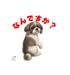 可愛いシーズー犬 ハッピーのLINEスタンプ（個別スタンプ：4）