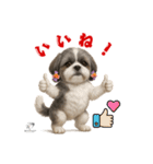 可愛いシーズー犬 ハッピーのLINEスタンプ（個別スタンプ：10）