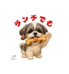 可愛いシーズー犬 ハッピーのLINEスタンプ（個別スタンプ：11）