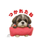 可愛いシーズー犬 ハッピーのLINEスタンプ（個別スタンプ：16）