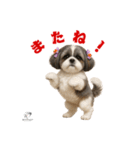 可愛いシーズー犬 ハッピーのLINEスタンプ（個別スタンプ：17）