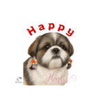 可愛いシーズー犬 ハッピーのLINEスタンプ（個別スタンプ：18）