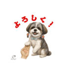 可愛いシーズー犬 ハッピーのLINEスタンプ（個別スタンプ：20）