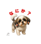 可愛いシーズー犬 ハッピーのLINEスタンプ（個別スタンプ：21）