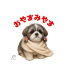 可愛いシーズー犬 ハッピーのLINEスタンプ（個別スタンプ：23）