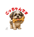可愛いシーズー犬 ハッピーのLINEスタンプ（個別スタンプ：25）
