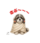 可愛いシーズー犬 ハッピーのLINEスタンプ（個別スタンプ：27）