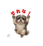 可愛いシーズー犬 ハッピーのLINEスタンプ（個別スタンプ：29）