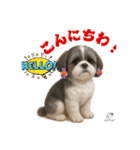 可愛いシーズー犬 ハッピーのLINEスタンプ（個別スタンプ：30）