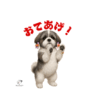 可愛いシーズー犬 ハッピーのLINEスタンプ（個別スタンプ：33）