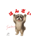可愛いシーズー犬 ハッピーのLINEスタンプ（個別スタンプ：34）