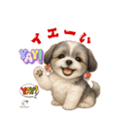 可愛いシーズー犬 ハッピーのLINEスタンプ（個別スタンプ：35）