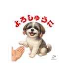 可愛いシーズー犬 ハッピーのLINEスタンプ（個別スタンプ：36）