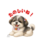 可愛いシーズー犬 ハッピーのLINEスタンプ（個別スタンプ：37）