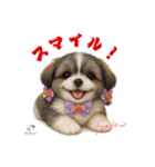 可愛いシーズー犬 ハッピーのLINEスタンプ（個別スタンプ：38）