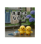 ふわふわひよこ(6月)40個セット（個別スタンプ：11）