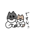 なかよしねこの毎日スタンプ（個別スタンプ：9）