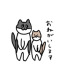なかよしねこの毎日スタンプ（個別スタンプ：11）