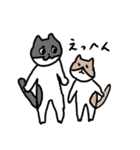 なかよしねこの毎日スタンプ（個別スタンプ：15）