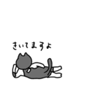 なかよしねこの毎日スタンプ（個別スタンプ：16）