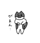 なかよしねこの毎日スタンプ（個別スタンプ：35）