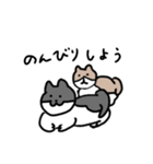 なかよしねこの毎日スタンプ（個別スタンプ：38）