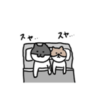 なかよしねこの毎日スタンプ（個別スタンプ：40）