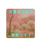 長文丁寧美しい絵画（個別スタンプ：16）