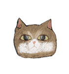 絵本に出てきそうな猫！（個別スタンプ：1）