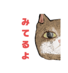絵本に出てきそうな猫！（個別スタンプ：5）