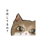 絵本に出てきそうな猫！（個別スタンプ：9）