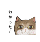 絵本に出てきそうな猫！（個別スタンプ：13）
