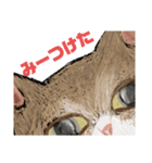 絵本に出てきそうな猫！（個別スタンプ：15）