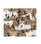 絵本に出てきそうな猫！（個別スタンプ：16）